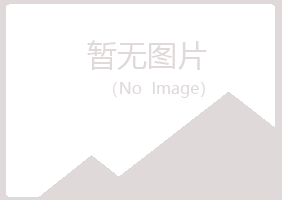 青山区凌乱能源有限公司